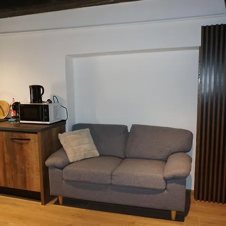 Hirscher Haus Apartmán Brašov