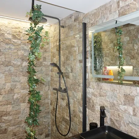 Apartment Hirscher Haus Brasov