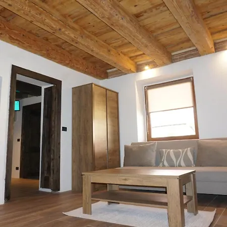 Hirscher Haus Apartmán Brašov
